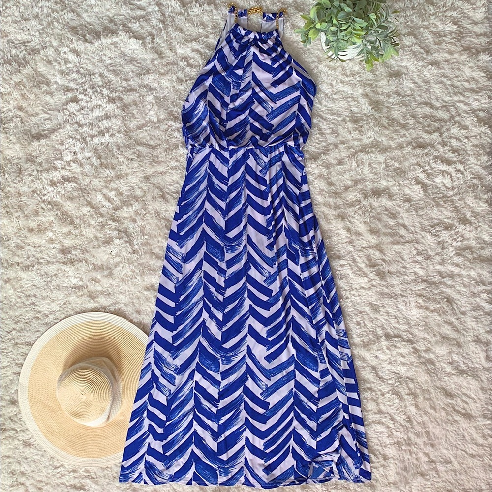 Bisou Bisou Maxi Dress